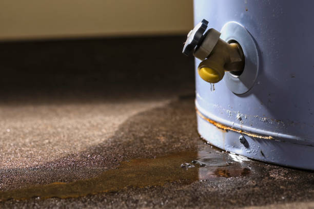Best Residential water damage restoration  in New Berlin, IL
