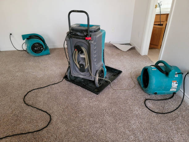 Best Commercial water damage restoration  in New Berlin, IL