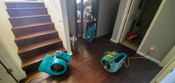 Best Water damage restoration near me  in New Berlin, IL