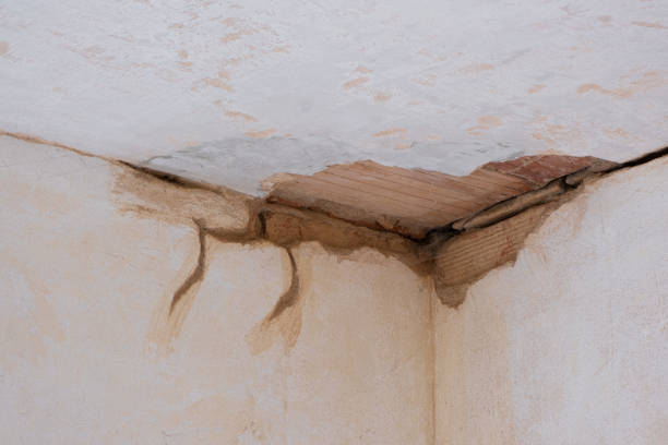 Best Flood damage cleanup  in New Berlin, IL