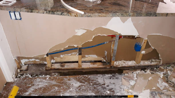 Best 24/7 water damage repair  in New Berlin, IL