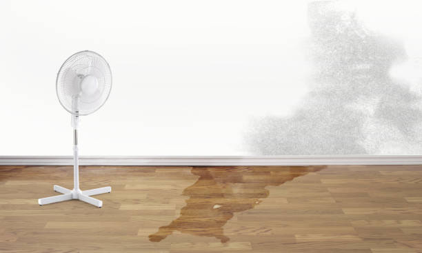 Best Ceiling water damage repair  in New Berlin, IL