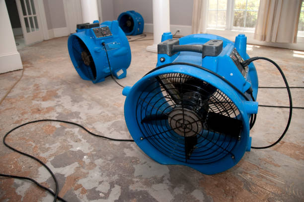 Best Sewage cleanup and water damage restoration  in New Berlin, IL