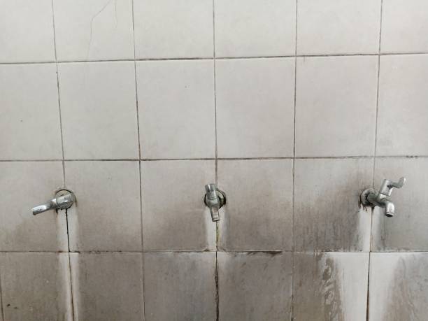 Best Flood restoration services  in New Berlin, IL