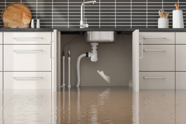 Best Emergency water extraction  in New Berlin, IL