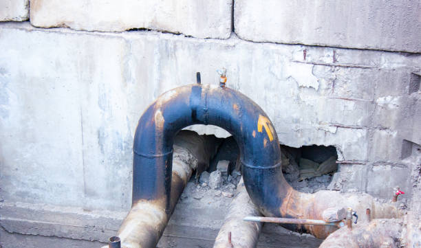 Best Mold removal after water damage  in New Berlin, IL