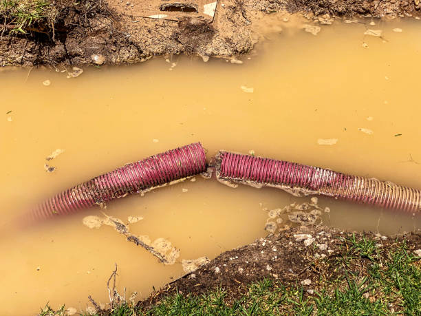 Best Residential water damage restoration  in New Berlin, IL