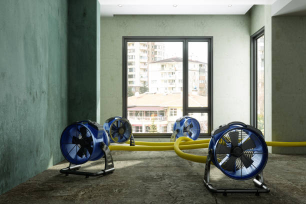 Best Basement water damage restoration  in New Berlin, IL